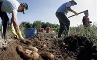 Σταμενίτης-Τζαμτζής για μετακλητούς εργάτες